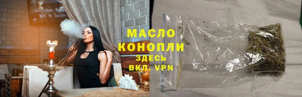 молекула духа Богданович