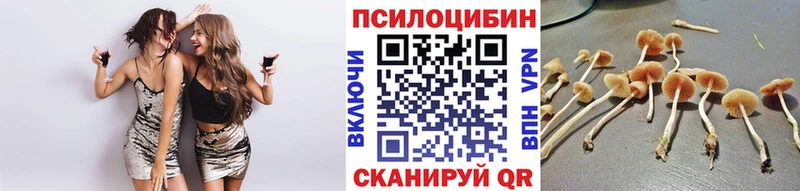 Галлюциногенные грибы MAGIC MUSHROOMS  где можно купить   Далматово 
